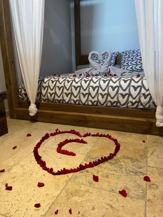 L'Excellence Avignon - Suite Luxe Sauna, Hammam & Jaccuzzi Ngoại thất bức ảnh